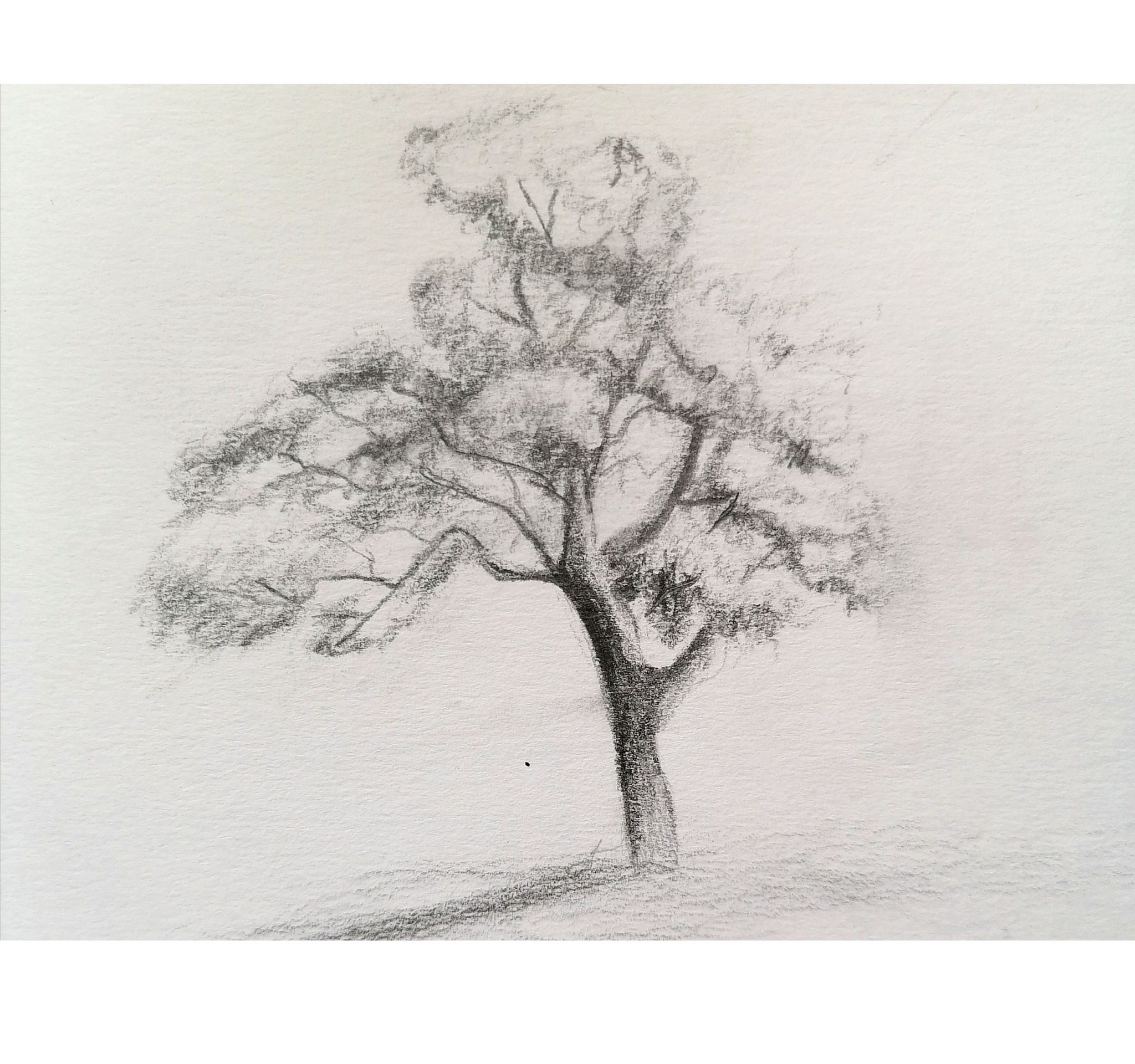 How I Improved My Watercolor Painting Skills My Art Aspirations