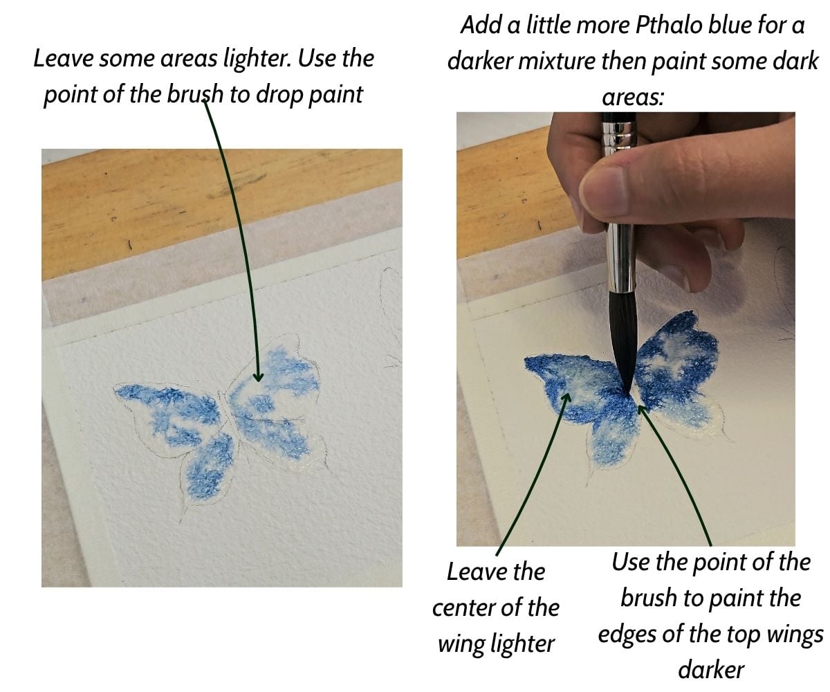 This step shows how to paint a wet into wet background of a watercolor butterfly.