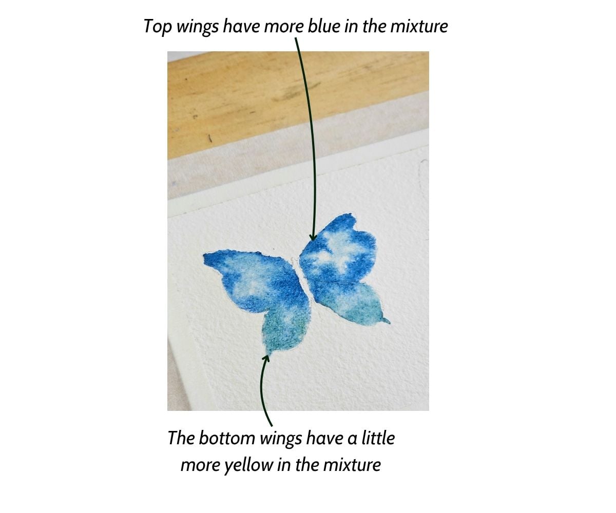 How to paint a watercolor butterfly step by step. Background wash