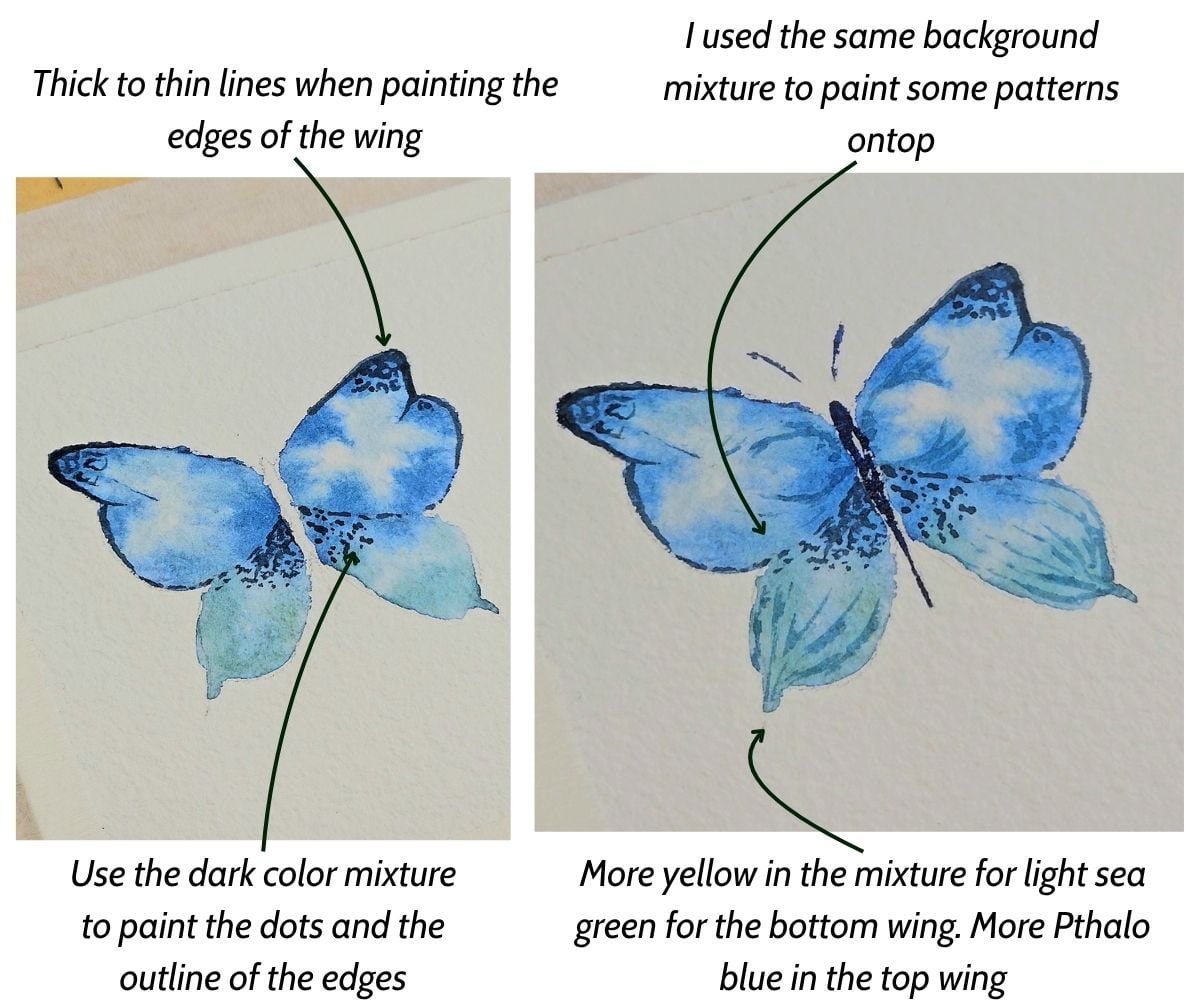 How to paint a watercolor butterfly